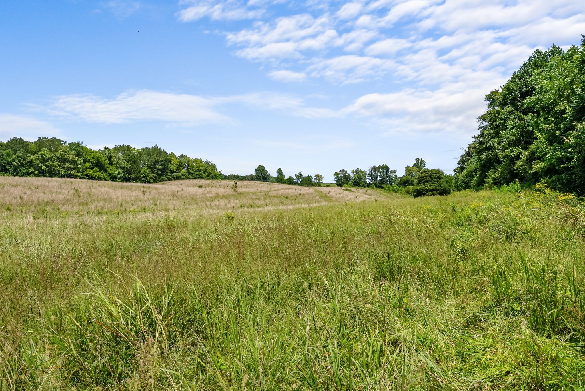 0 Sparkman Town-Bone Cave Road Doyle, TN 38559 - Photo 35 of 77 Gallery Image 35