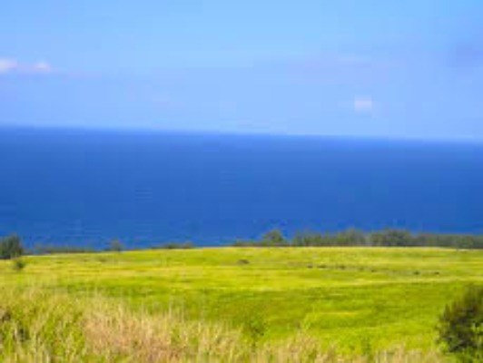 Lot B-2 Lot B-2 Middle Road Honokaa, HI 96727 - Photo 1 of 16 Gallery Image 1
