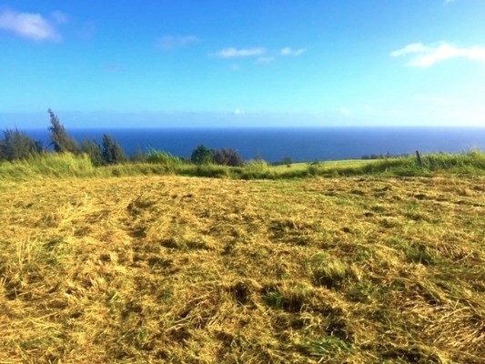 Lot B-2 Lot B-2 Middle Road Honokaa, HI 96727 - Photo 4 of 16 Gallery Image 4