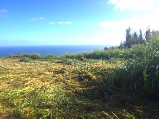 Lot B-2 Lot B-2 Middle Road Honokaa, HI 96727 - Photo 5 of 16 Gallery Image 5