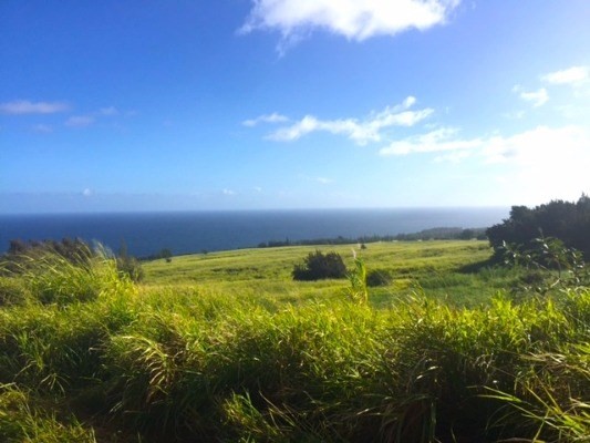 Lot B-2 Lot B-2 Middle Road Honokaa, HI 96727 - Photo 6 of 16 Gallery Image 6