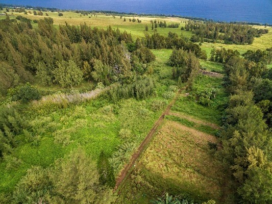 Lot B-2 Lot B-2 Middle Road Honokaa, HI 96727 - Photo 8 of 16 Gallery Image 8
