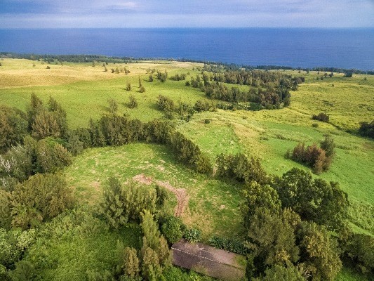 Lot B-2 Lot B-2 Middle Road Honokaa, HI 96727 - Photo 9 of 16 Gallery Image 9