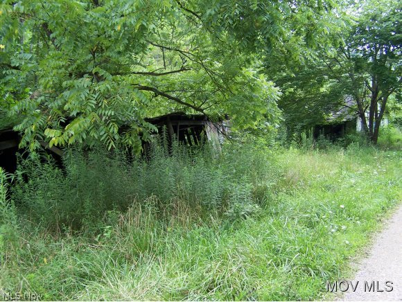 0 Linden-tariff Road Left Hand, WV 25251 - Photo 3 of 6