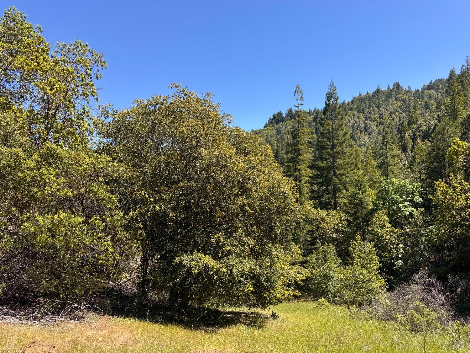 21530 Fort Ross Road Cazadero, CA 95421 - Photo 43 of 56