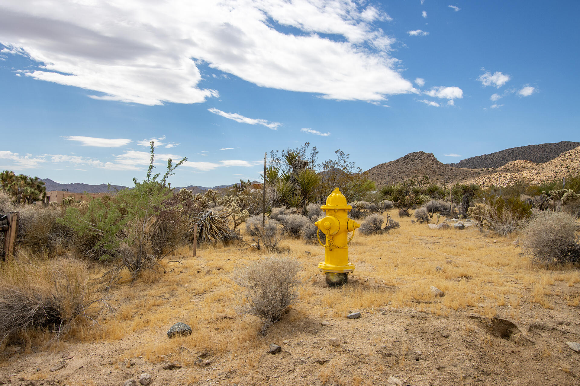 207 Onaga Trail Joshua Tree, CA 92252 - Photo 3 of 27 IMG_1889