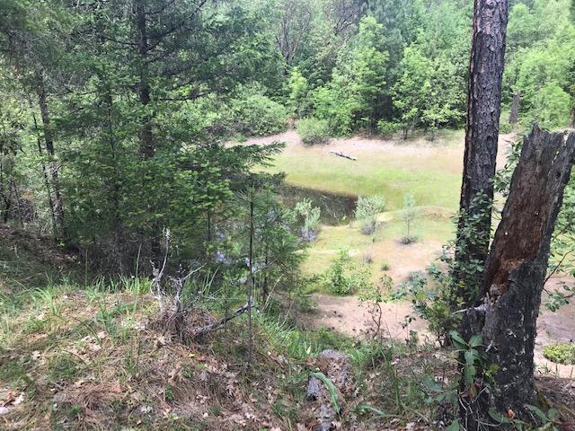 5482 Pleasant Creek Road Rogue River, OR 97537 - Photo 24 of 25 IMG_6541