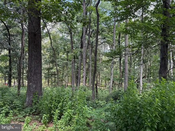 $25,000 | 79 Cabin Road, Augusta, WV 26704