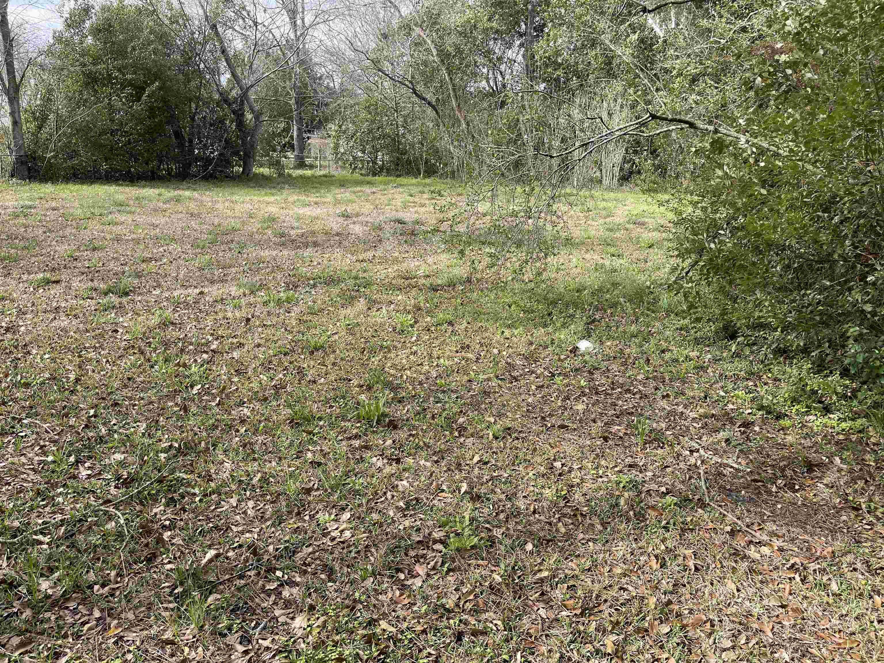 0 West Union Avenue Loxley, AL 36551 - Photo 3 of 4