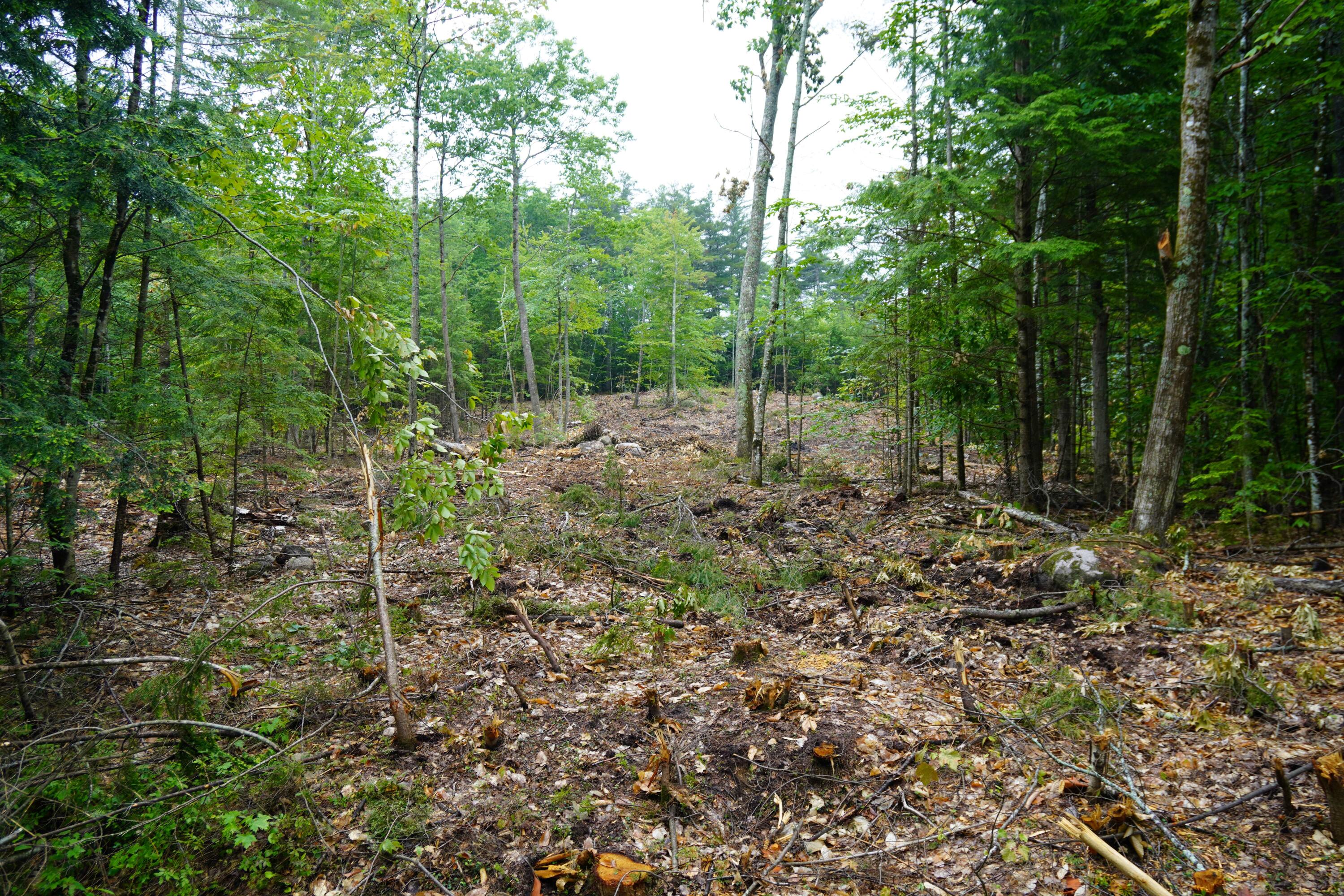 89 Chapman Road Harrison, ME 04040 - Photo 1 of 1 land1
