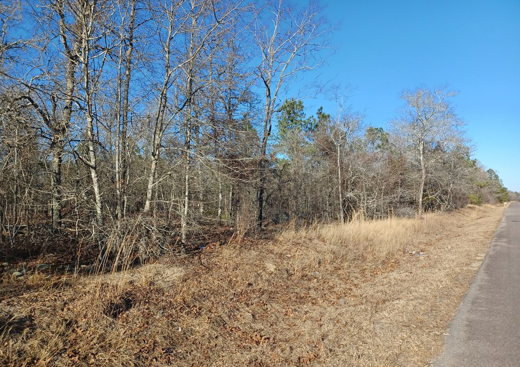 Tbd Tbd Browns Pond Road Salley, SC 29137 - Photo 7 of 8
