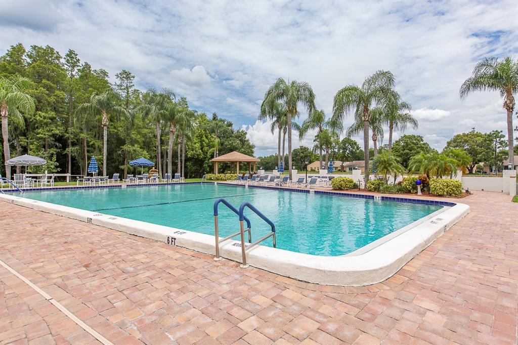 9433 Stonewall Lane New Port Richey, FL 34655 - Photo 41 of 57