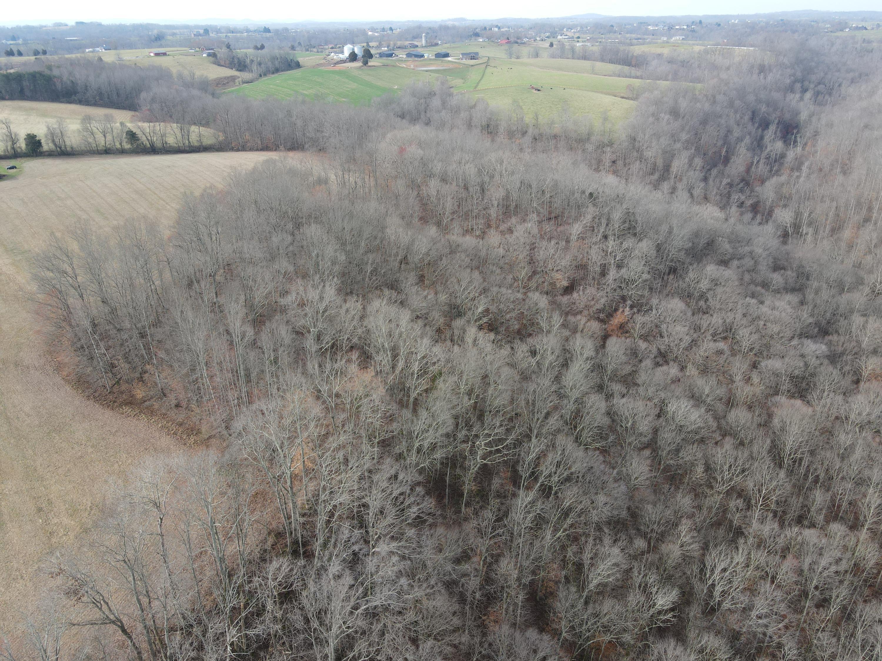 551 Porter Creek Road Nancy, KY 42544 - Photo 27 of 45 DJI_0956