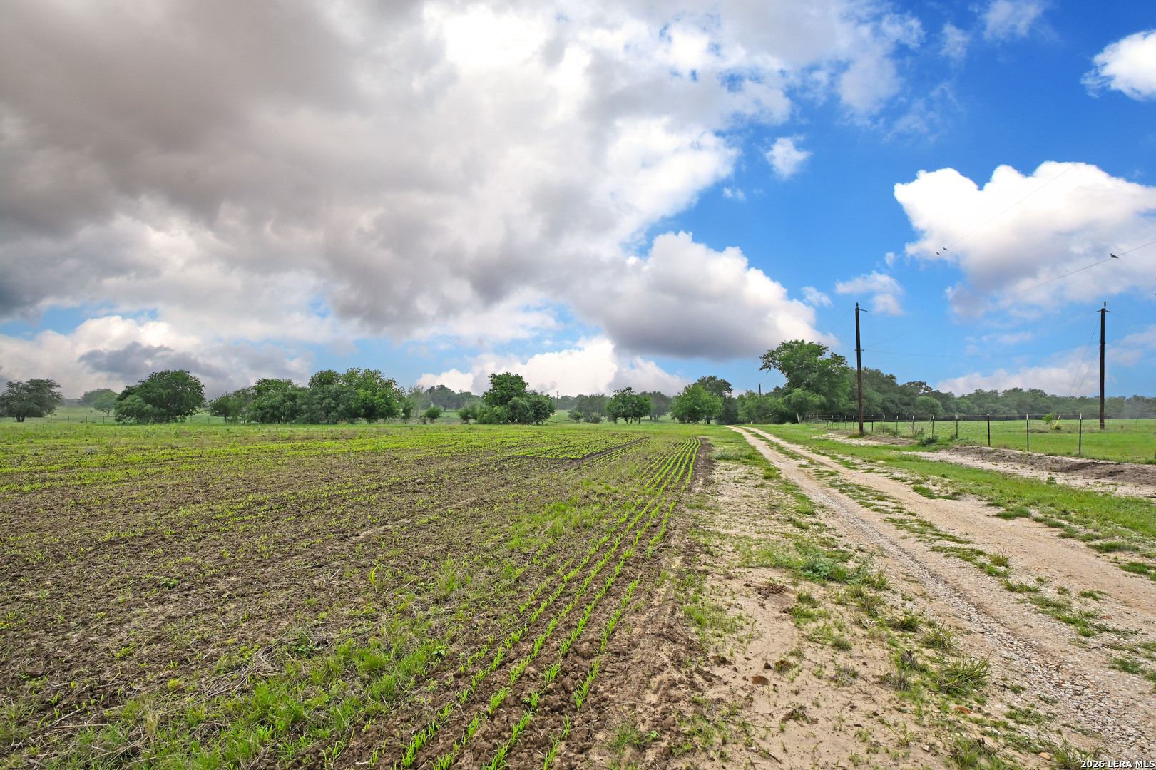 1335 North Gable Road St. Hedwig, TX 78152 - Photo 8 of 25