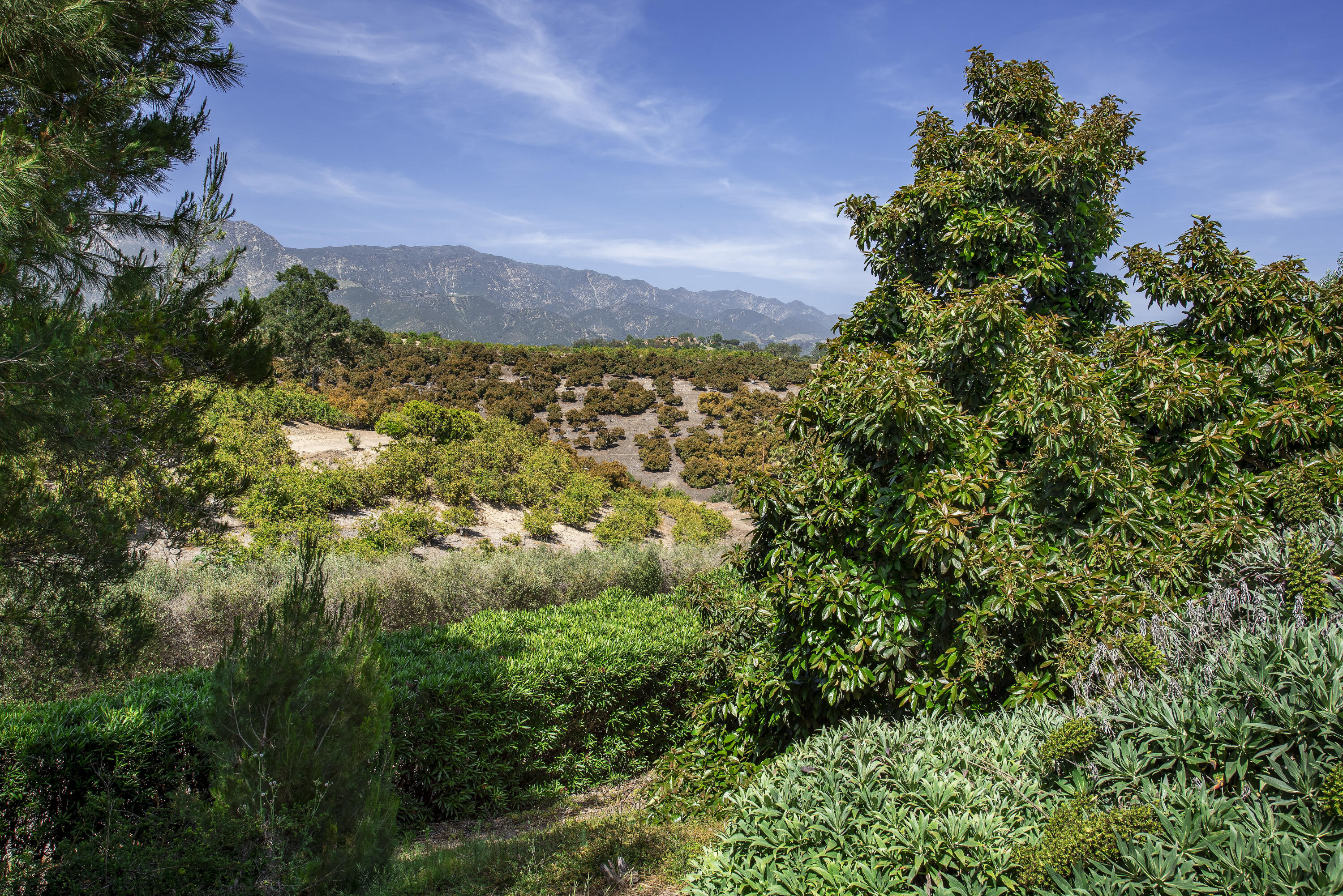 2240 Ortega Ranch Road Summerland, CA 93067 - Photo 73 of 93 Exterior