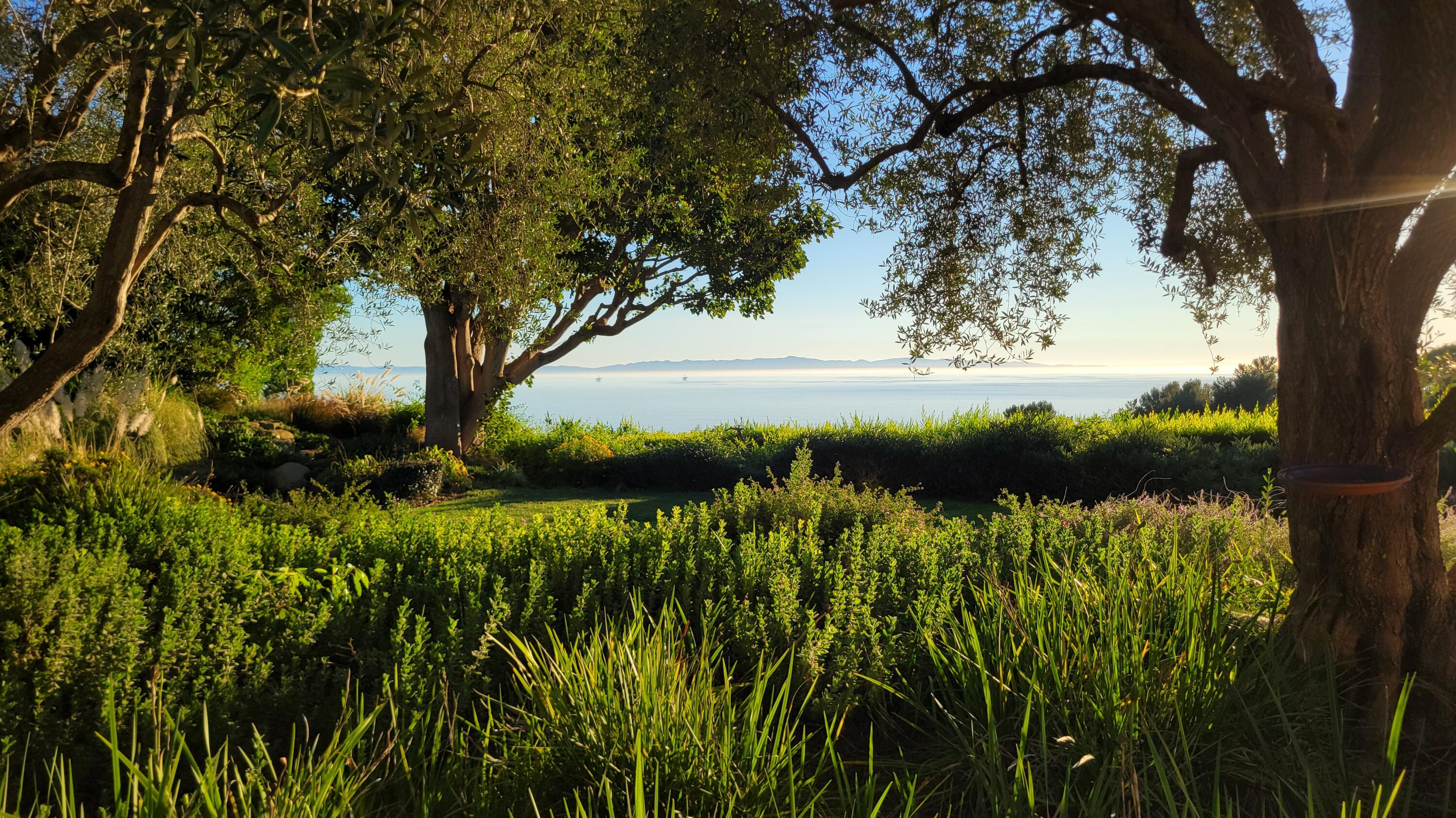 2240 Ortega Ranch Road Summerland, CA 93067 - Photo 88 of 93 a view of a garden from a lake