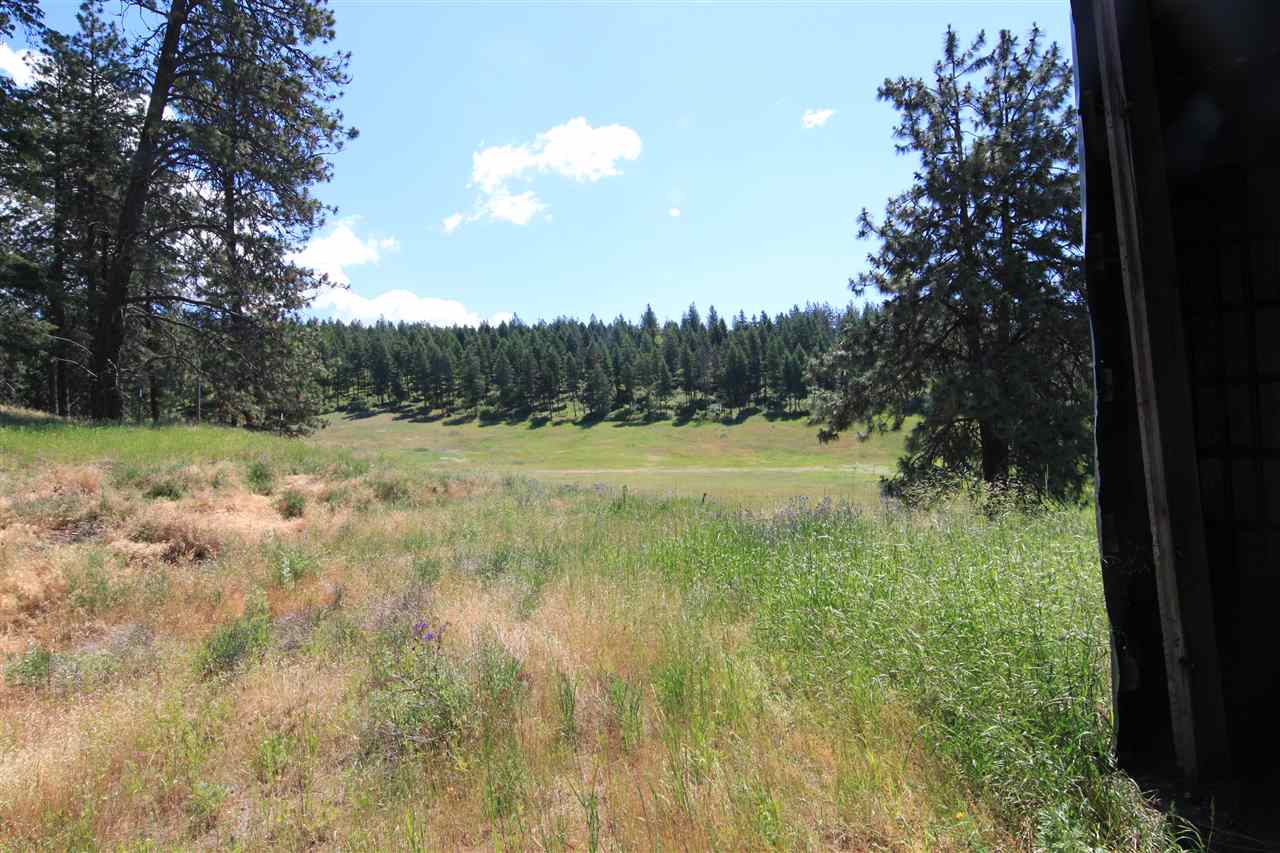 26316 North Madison Road Chattaroy, WA 99003 - Photo 20 of 20