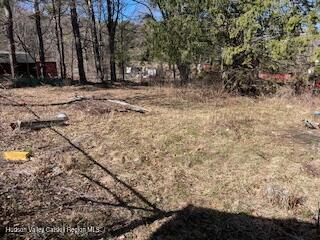 519 Old Rte 23 Acra, NY 12405 - Photo 4 of 18 a view of a yard with trees