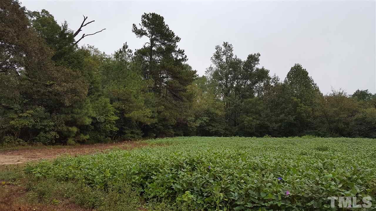 5710 Reams Road Spring Hope, NC 27882 - Photo 3 of 5