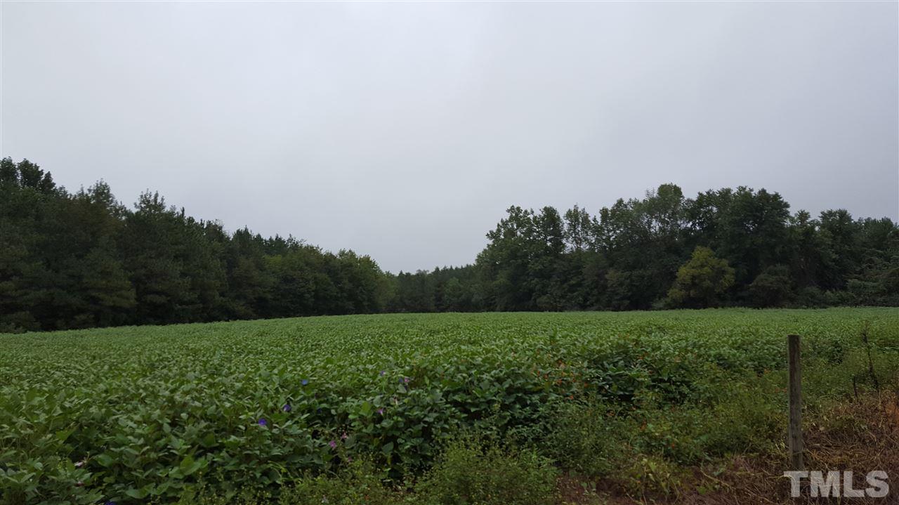 5710 Reams Road Spring Hope, NC 27882 - Photo 5 of 5