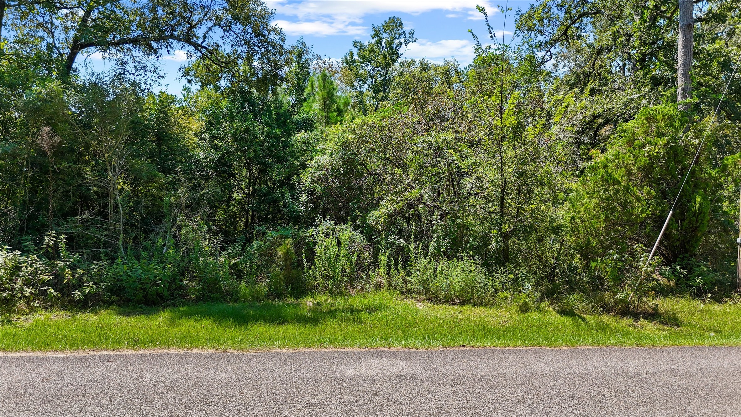 3816 Sam Houston Road Houston, TX 77002 - Photo 14 of 19 a view of outdoor space and yard