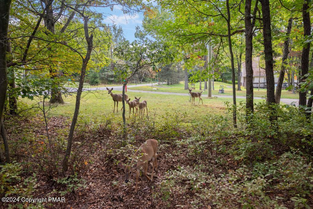 1265 Clover Road Long Pond, PA 18334 - Photo 56 of 58 DSC_1116