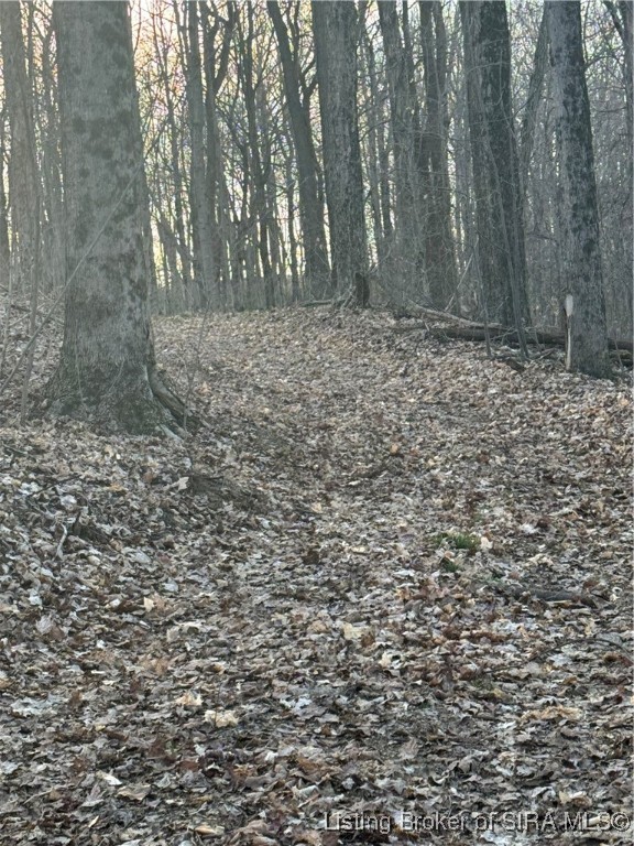 Lotticks Corner Elizabeth, IN 47117 - Photo 30 of 36 Whispering Woods!