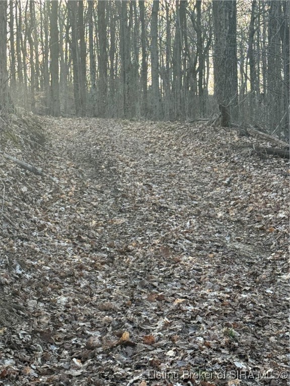 Lotticks Corner Elizabeth, IN 47117 - Photo 32 of 36 Wildlife Wonderland!