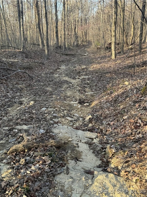 Lotticks Corner Elizabeth, IN 47117 - Photo 34 of 36 Birdwatcher's Paradise!