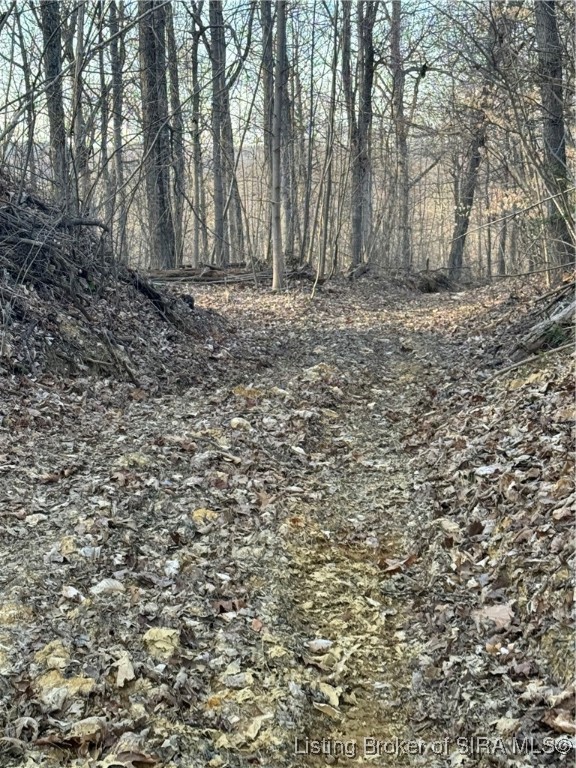 Lotticks Corner Elizabeth, IN 47117 - Photo 6 of 36 Tons of wildlife!