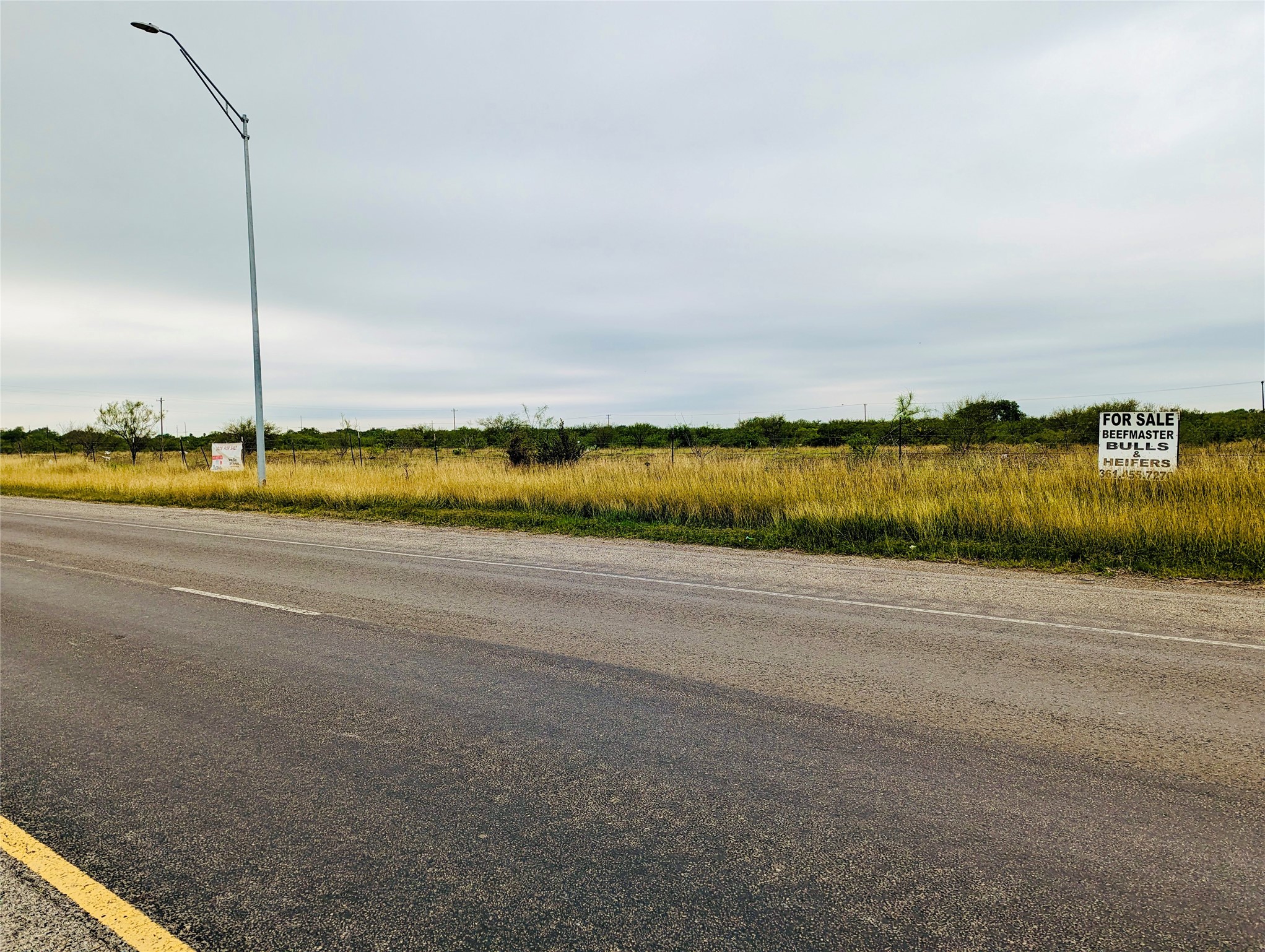 Lot 30 State Highway Premont, TX 78375 - Photo 11 of 15