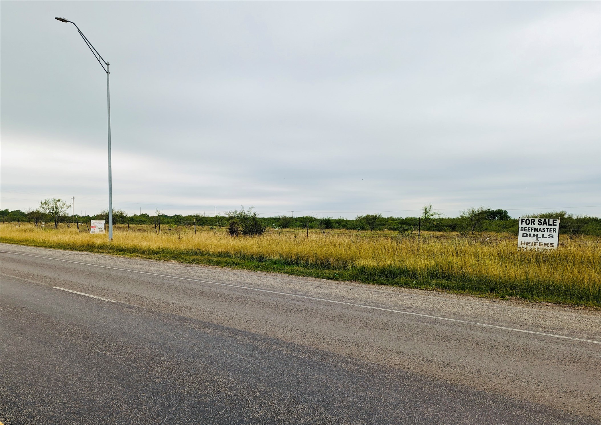 Lot 30 State Highway Premont, TX 78375 - Photo 12 of 15
