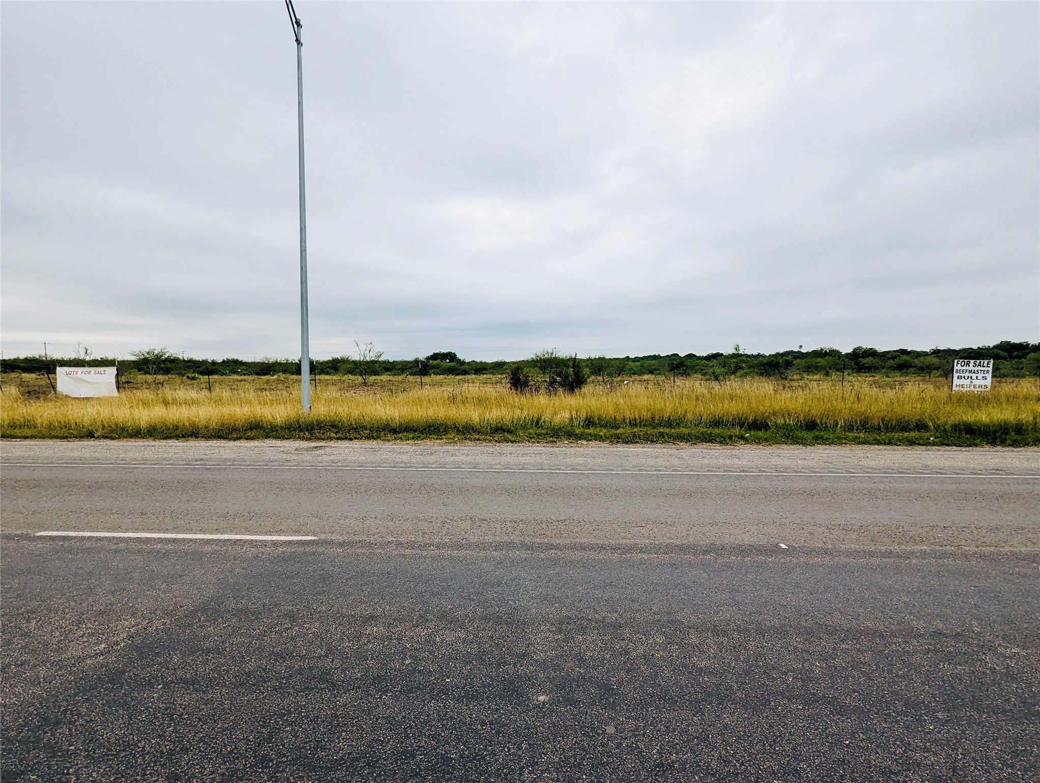 Lot 30 State Highway Premont, TX 78375 - Photo 6 of 15