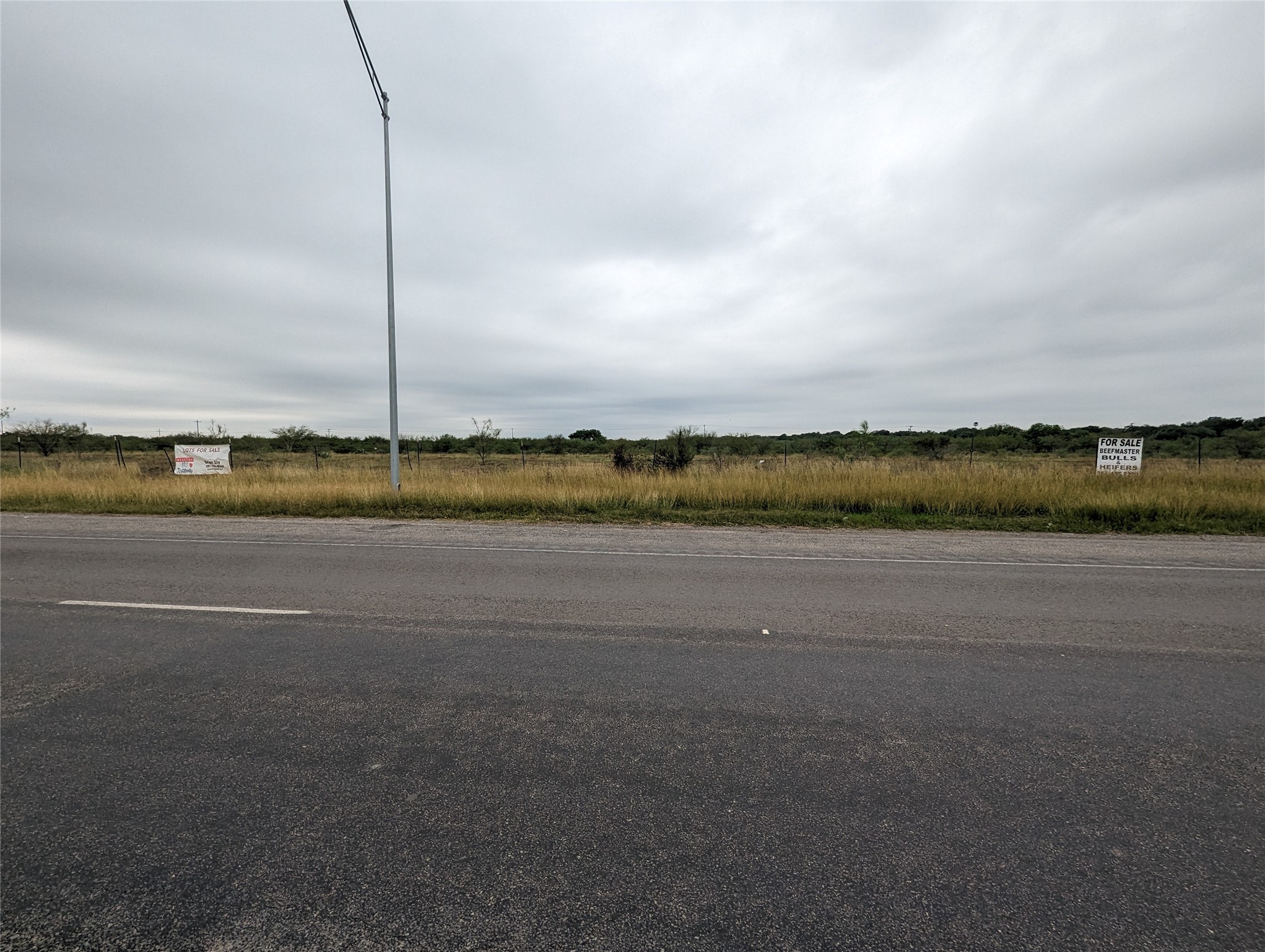 Lot 30 State Highway Premont, TX 78375 - Photo 8 of 15