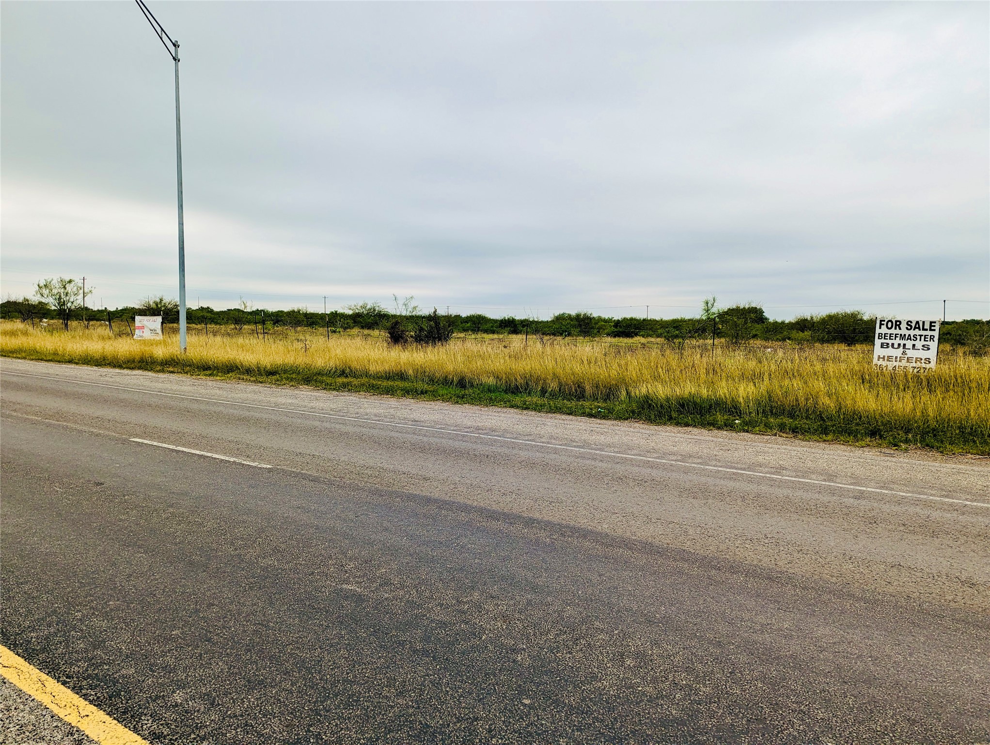 Lot 30 State Highway Premont, TX 78375 - Photo 10 of 15