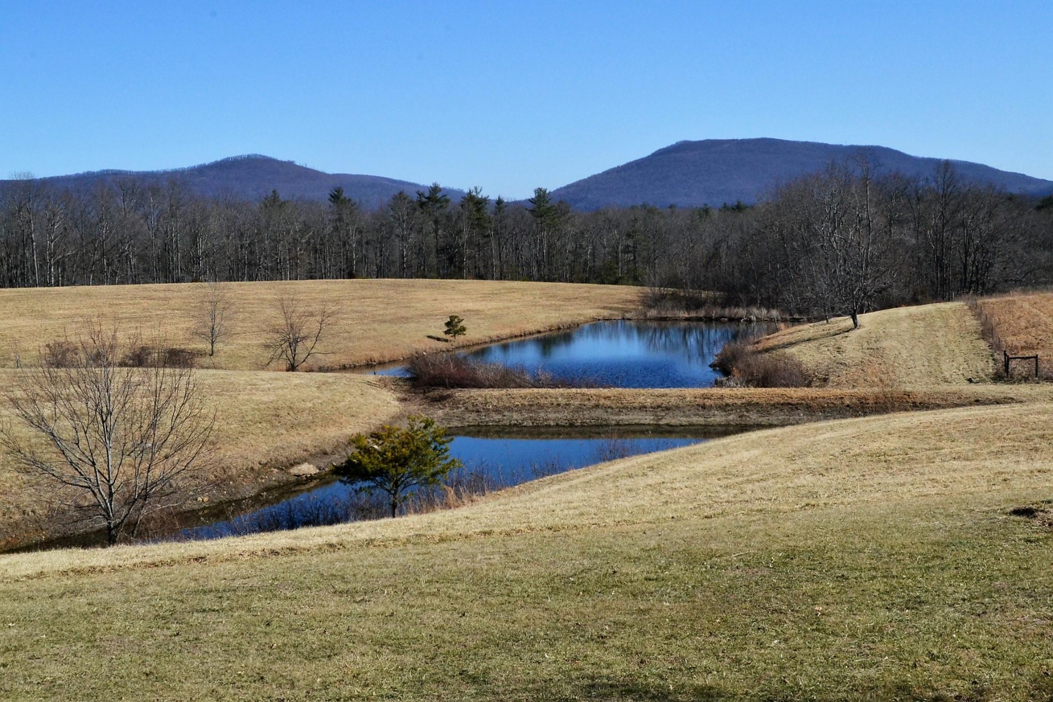 305 Fields Road Crossville, TN 38572 - Photo 34 of 40 Gallery Image 34