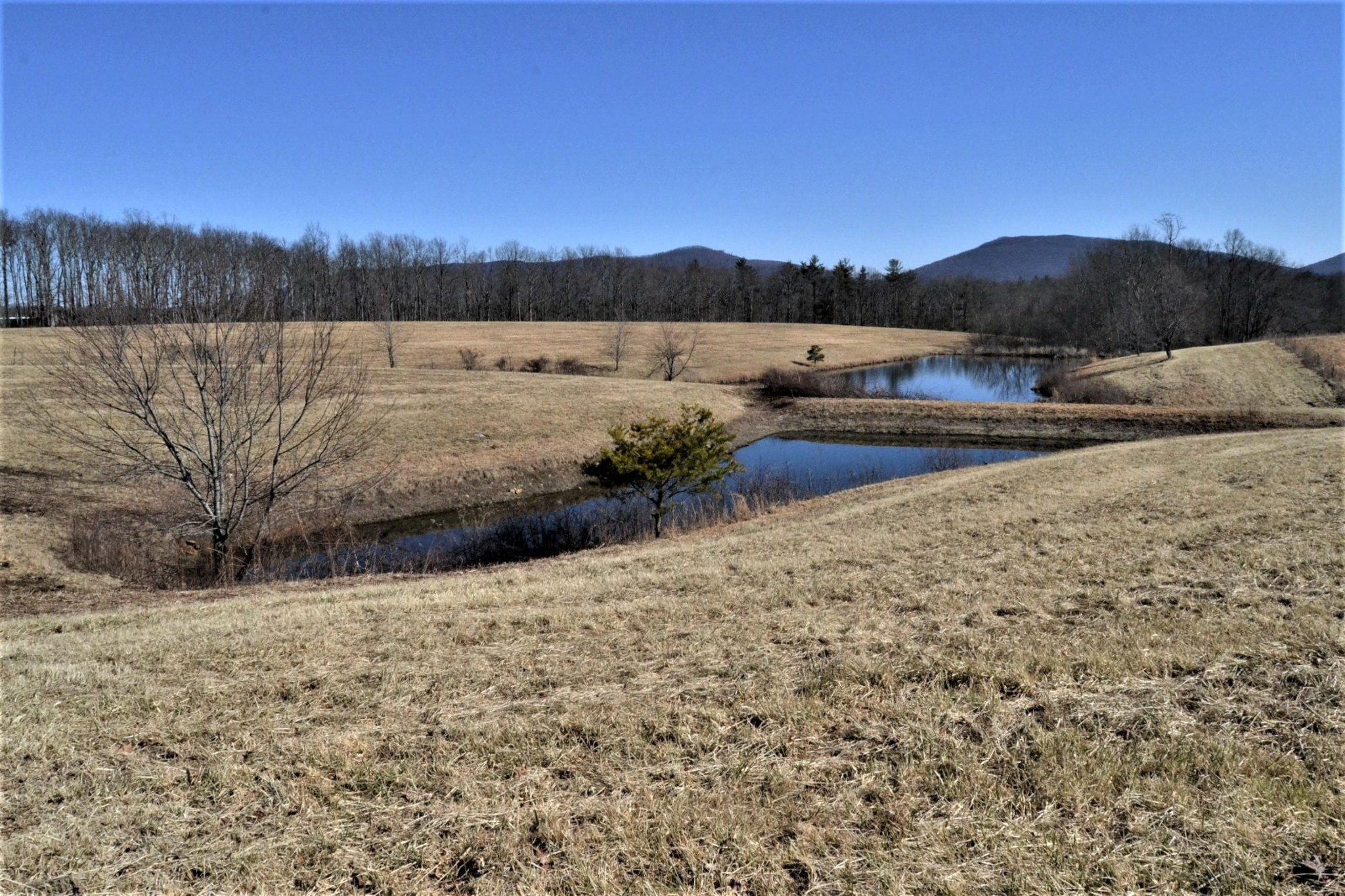 305 Fields Road Crossville, TN 38572 - Photo 35 of 40 Gallery Image 35