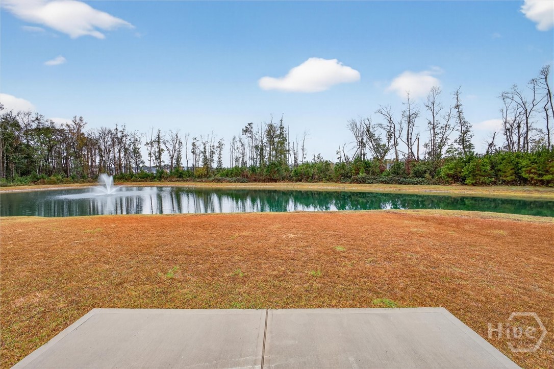 312 Lillian Street Rincon, GA 31326 - Photo 37 of 40 Pond located in the backyard.
