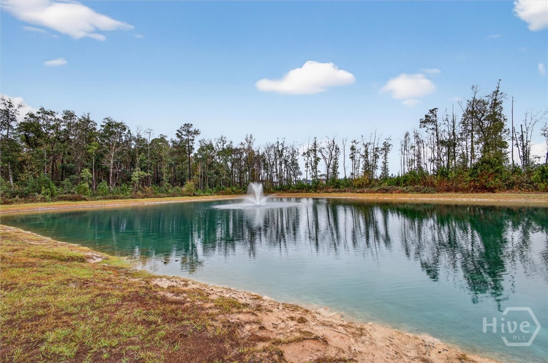 312 Lillian Street Rincon, GA 31326 - Photo 38 of 40 Pond located in the backyard.