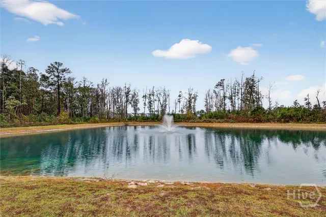 $329,000 | 312 Lillian Street, Rincon, GA 31326