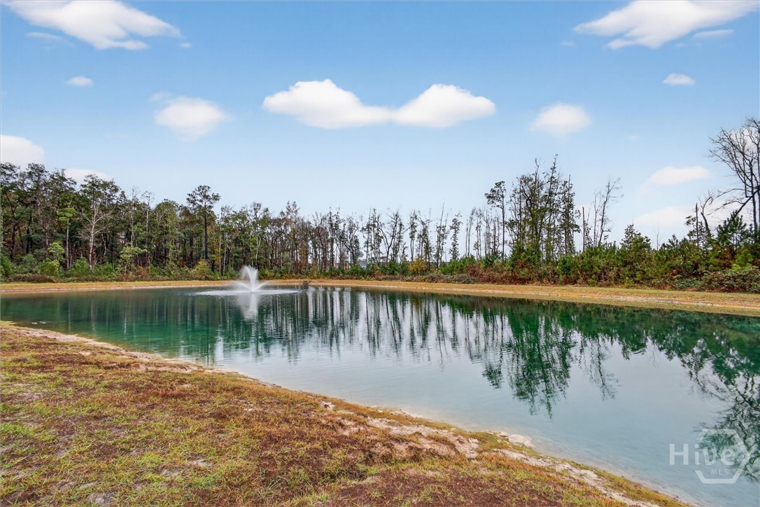 312 Lillian Street Rincon, GA 31326 - Photo 40 of 40 Pond located in the backyard.