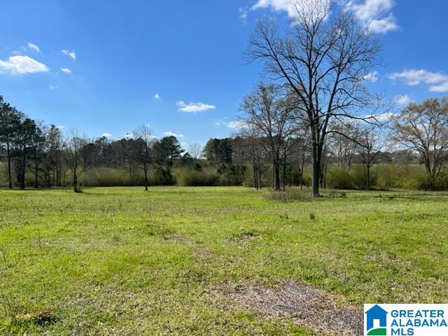 0 Holly Hills Road Lincoln, AL 35096 - Photo 1 of 5