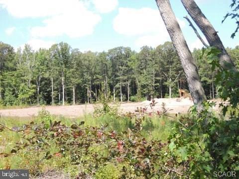 Lot 6 Asketum Branch Road Georgetown, DE 19947 - Photo 5 of 14 Gallery Image 5