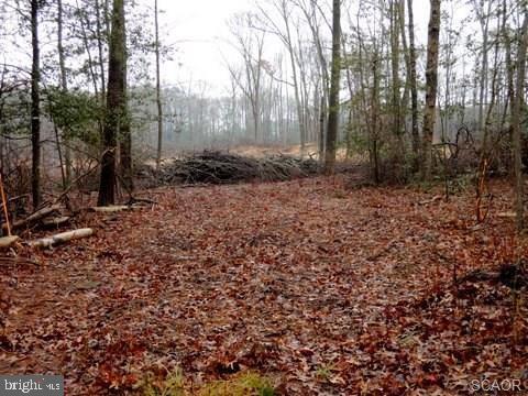 Lot 6 Asketum Branch Road Georgetown, DE 19947 - Photo 7 of 14 Gallery Image 7