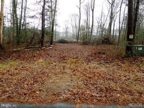 Lot 6 Asketum Branch Road Georgetown, DE 19947 - Photo 8 of 14 Gallery Image 8