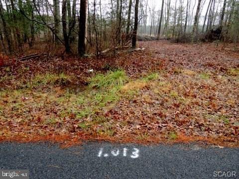Lot 6 Asketum Branch Road Georgetown, DE 19947 - Photo 9 of 14 Gallery Image 9