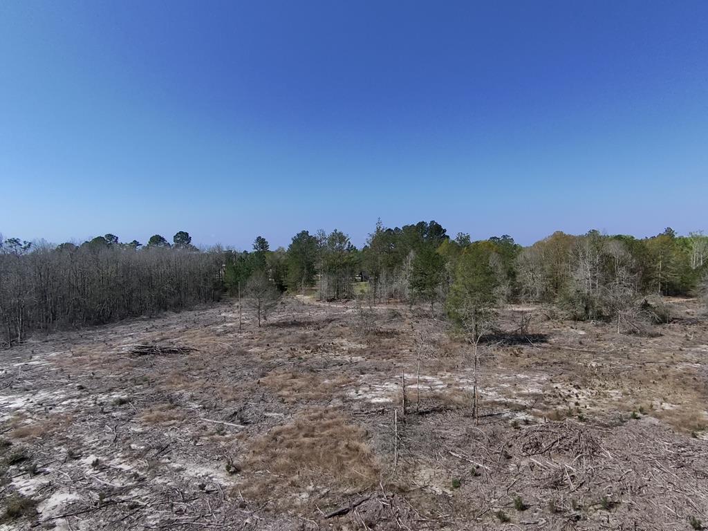 87 Highway 87 Samson, AL 36477 - Photo 16 of 47