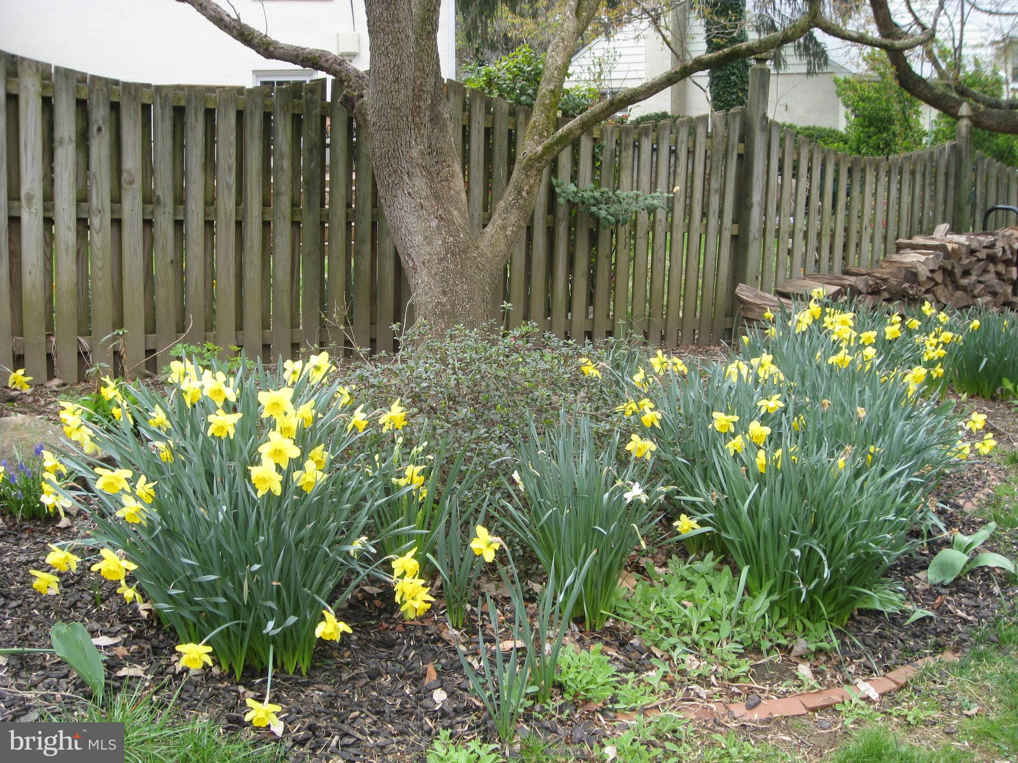 13 Morris Circle Wayne, PA 19087 - Photo 36 of 37