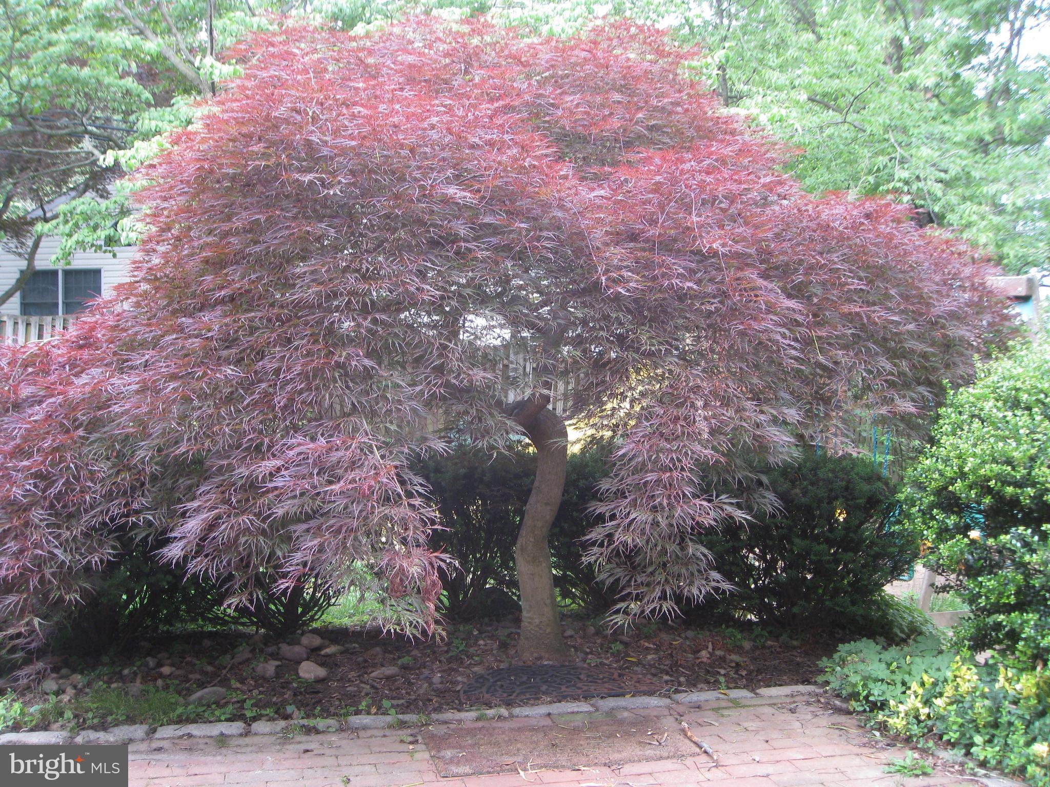 13 Morris Circle Wayne, PA 19087 - Photo 37 of 37