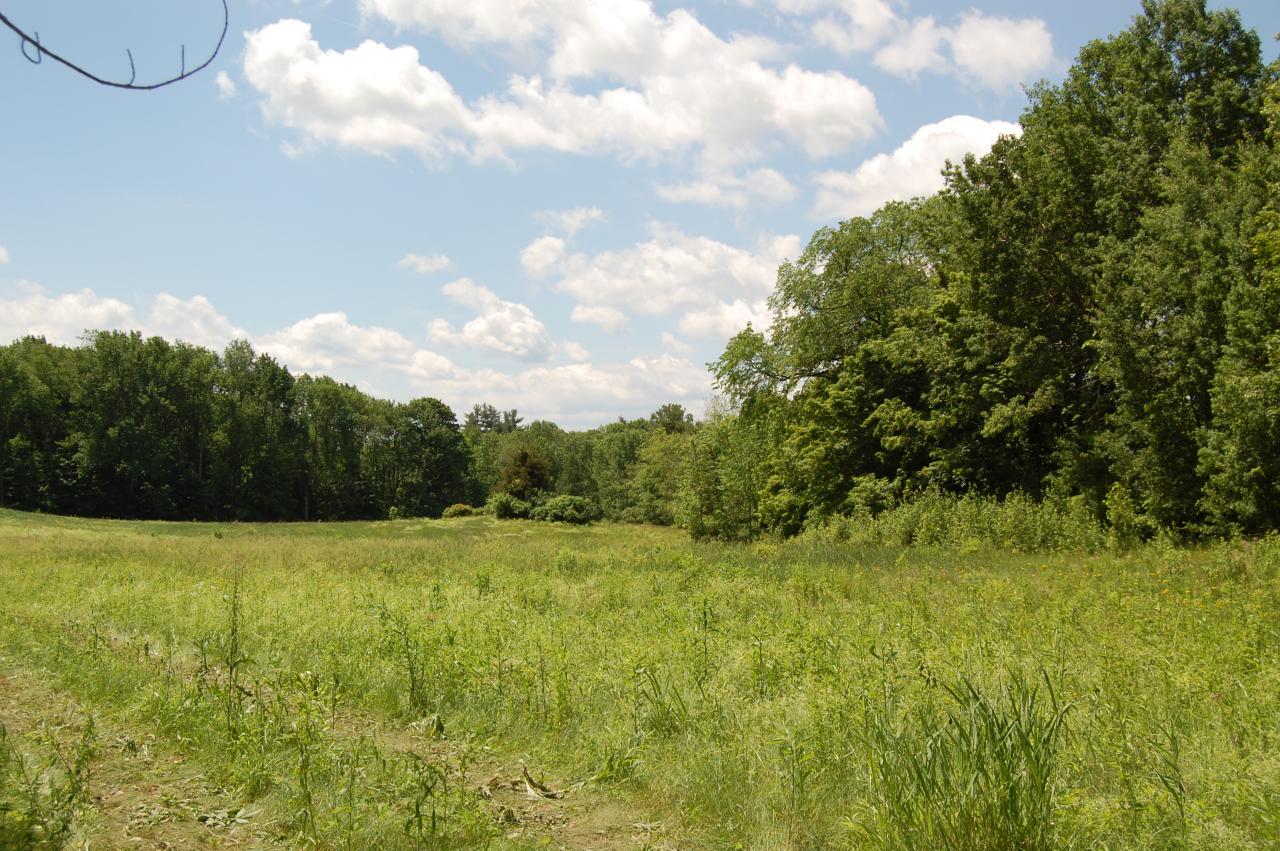 Old Joe Road Great Barrington, MA 01230 - Photo 1 of 1 Primary Photo